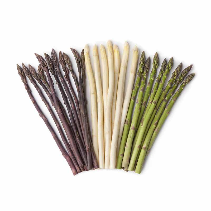 Asperges