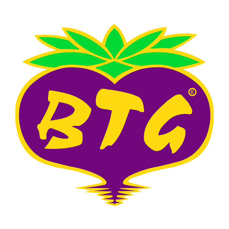 Logo BTG