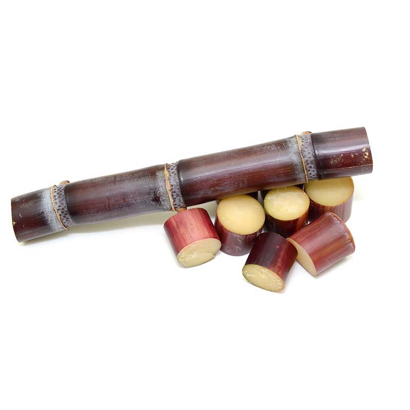 Canne à sucre