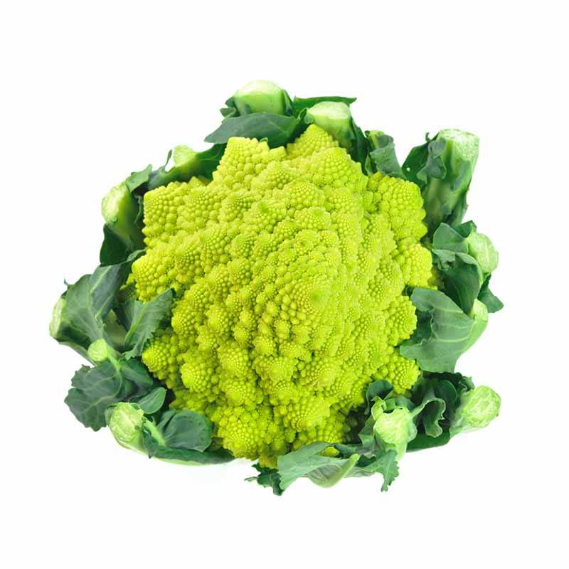 Chou romanesco