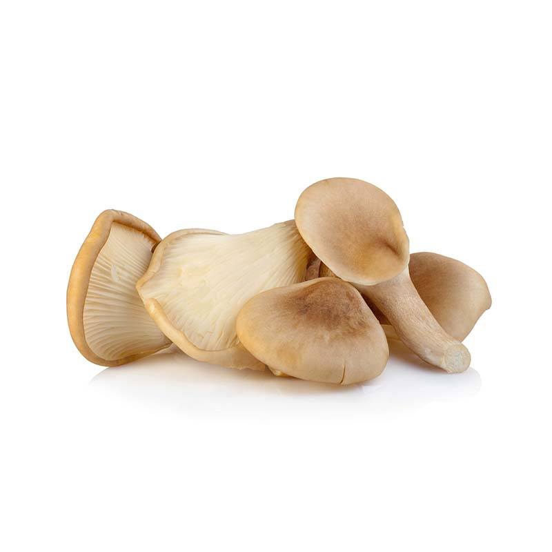 Champignons cultivés