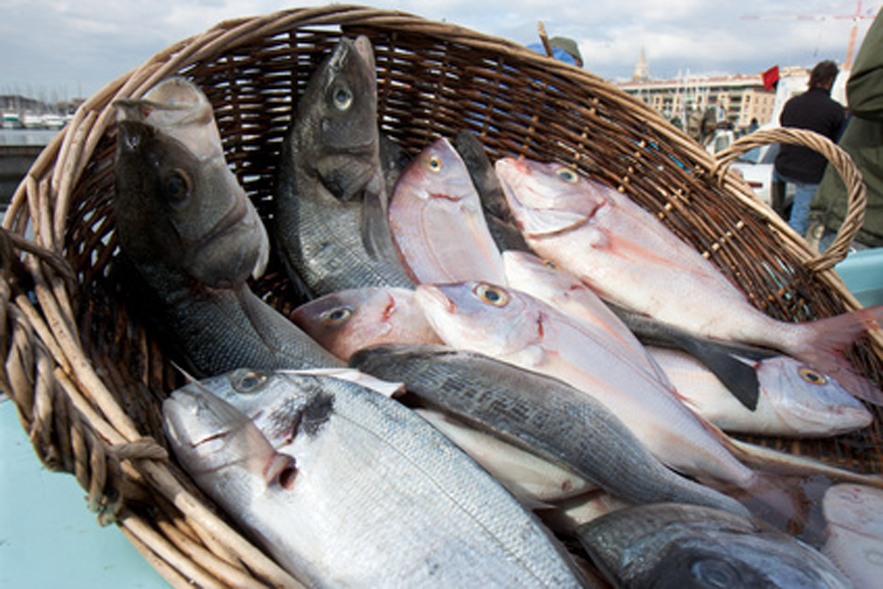 Poissons blancs