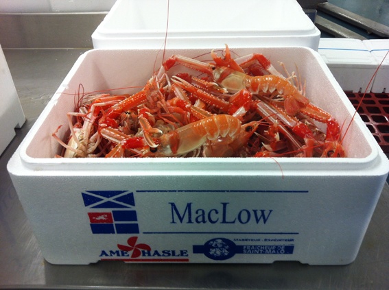 Langoustines MacLow colis