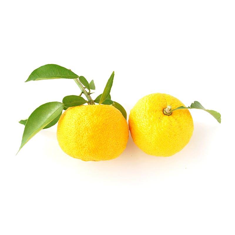 Citron Yuzu